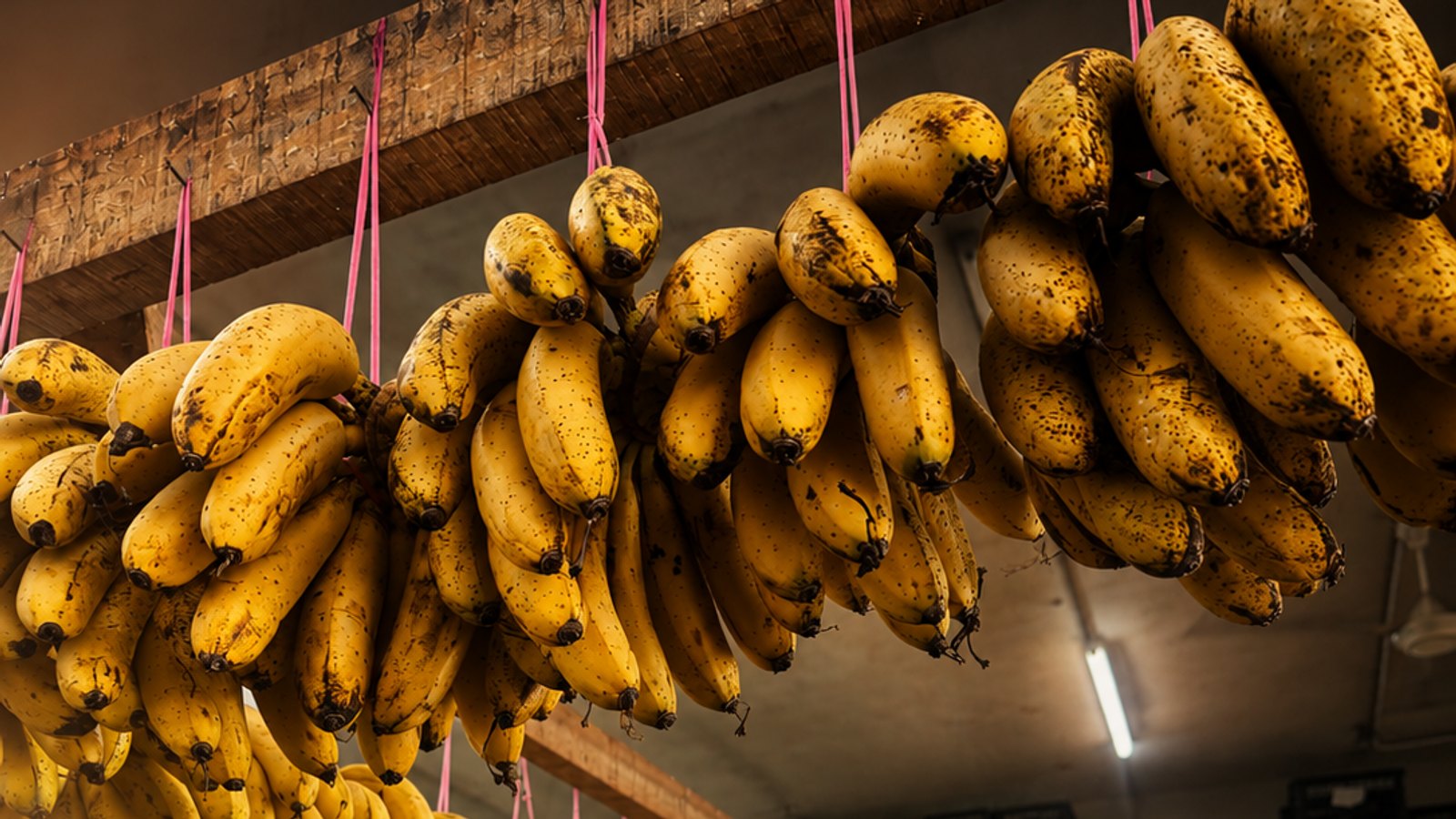 Nizz choosing Malaysian-grown Berangan bananas at the market